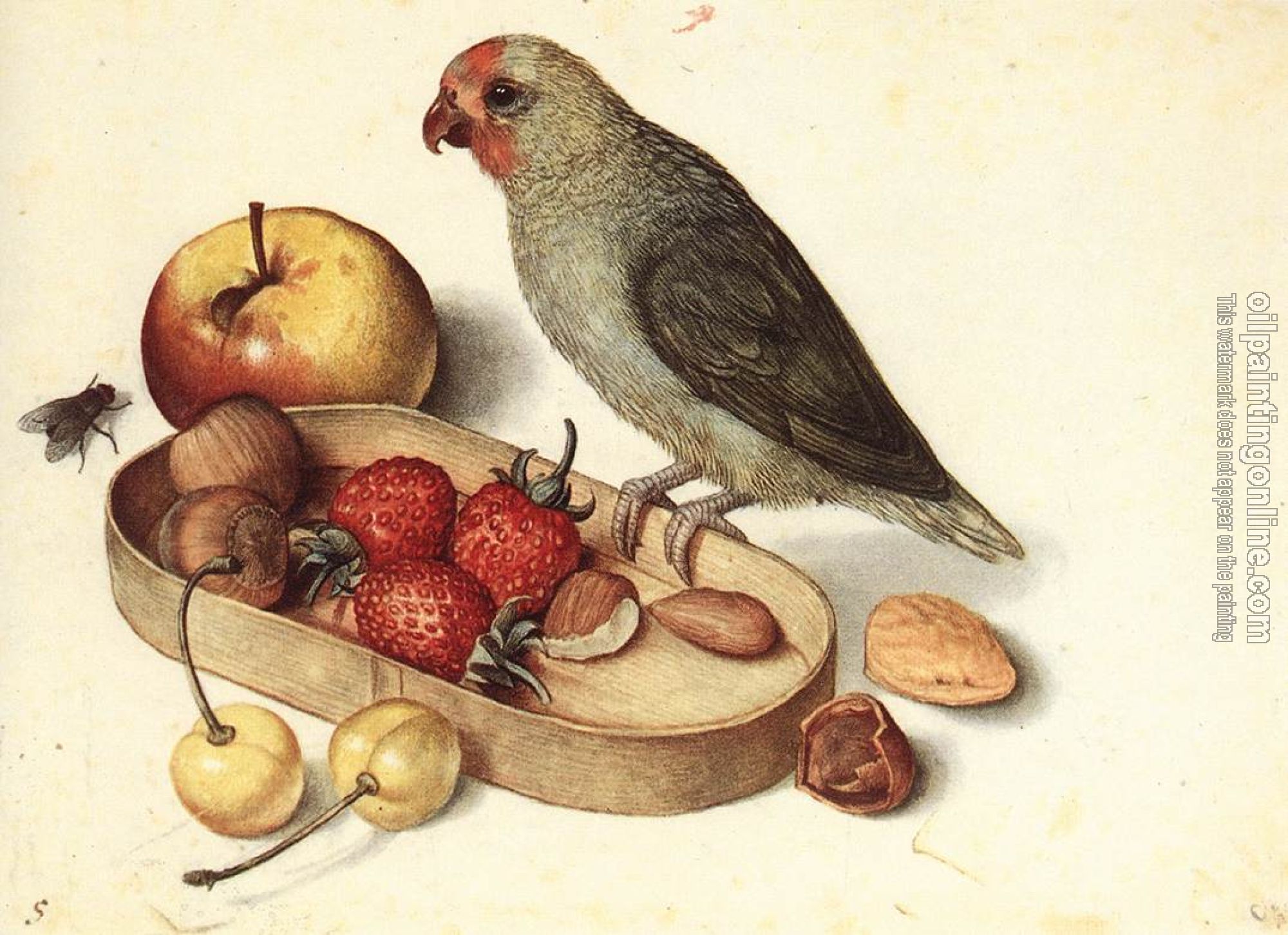 Flegel, George - Still-Life with Pygmy Parrot